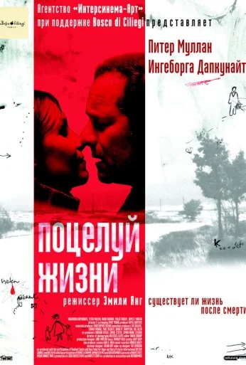 Поцелуй жизни (2003) онлайн бесплатно